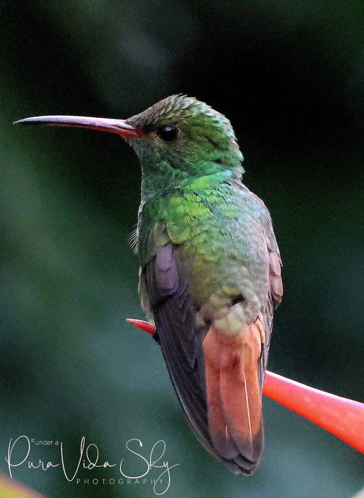 f7a8c735 6038 4b4d 9192 50ecaccfd322