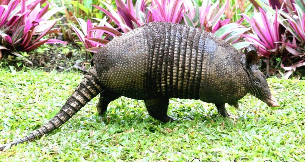 f9c81571 46c6 4daf aa9f e077c7a1dafd