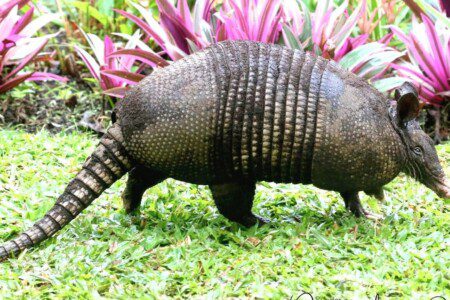 f9c81571 46c6 4daf aa9f e077c7a1dafd